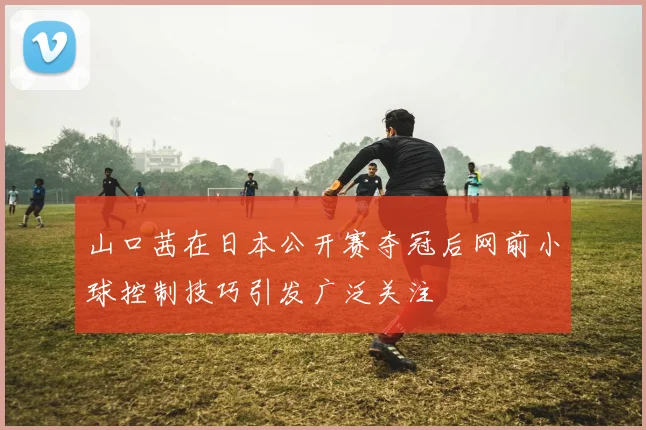 山口茜在日本公开赛夺冠后网前小球控制技巧引发广泛关注