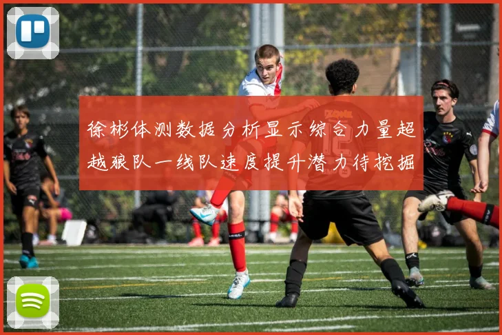 徐彬体测数据分析显示综合力量超越狼队一线队速度提升潜力待挖掘
